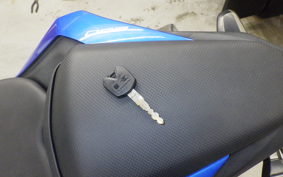 KAWASAKI Z250 SL 2023 BR250E