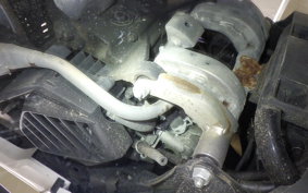 HONDA BENLY 50 AA05