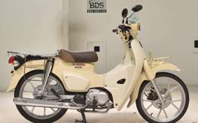 HONDA C110 SUPER CUB 2025 JA59