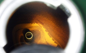 HONDA C50 SUPER CUB 2026 AA01