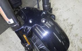 HARLEY XG750 STREET ROD 2020