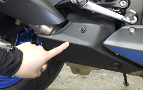 KAWASAKI NINJA ZX-6R A 2025 ZX636J