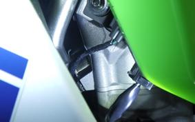 KAWASAKI ZX-4RR 2024 ZX400P