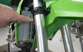 KAWASAKI KLX250 Gen.2 2019 LX250S