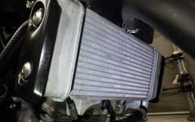 YAMAHA XSR125 2025 RE46J