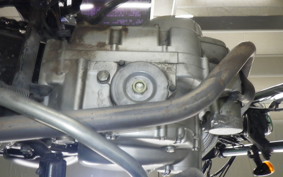SUZUKI GRASS TRACKER 2022 NJ4BA