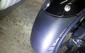 OTHER +ENFIELD HUNTER350 2025