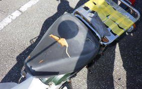 HONDA C50 SUPER CUB C50