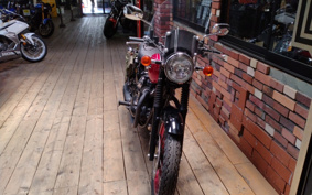 KAWASAKI W800 Special Edition 2013 EJ800A