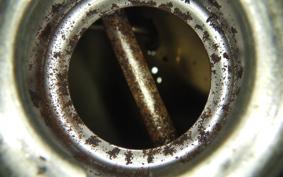 HONDA ZOOMER 2014 AF58