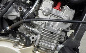 HONDA HORNET 250 MC31