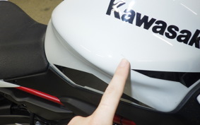 KAWASAKI Z650 A 2022 ER650H