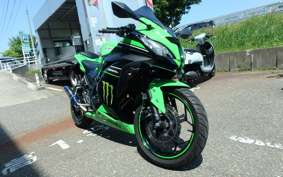 KAWASAKI Ninja 250 SE EX250L