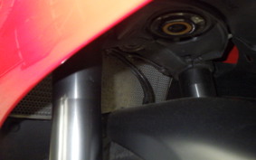 DUCATI PANIGALE V2 2021
