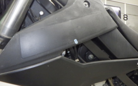 KAWASAKI KLX250D TRACKER X LX250V