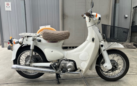 HONDA LITTLE CUB AA01