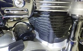 KAWASAKI W800 2019 EJ800B
