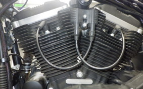 HARLEY XL883N 2017