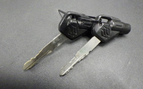 SUZUKI GSX-S125 2022 DL32B