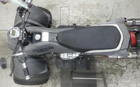 OTHER +UNREGISTERED MODEL by BDS TRIKE250 GW