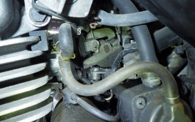 KAWASAKI SUPER SHERPA 2010 KL250G