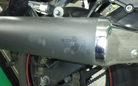 KAWASAKI NINJA 250R EX250K