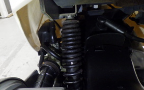 HONDA ZOOK AF26