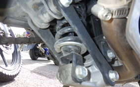 KAWASAKI NINJA 250 EX250L