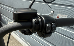 HARLEY FXBBS 2021 YYK