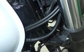 HONDA GB350S 2025 NC59