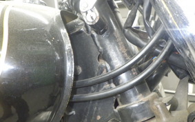 KAWASAKI ESTRELLA RS 2022 BJ250A