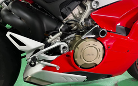DUCATI PANIGA-REV4S 2019 DA00J