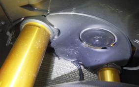 DUCATI PANIGALE V4 S CORSA 2019