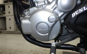YAMAHA WR250X DG15J