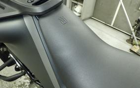 HUSQVARNA SVARTPILEN 401 2021