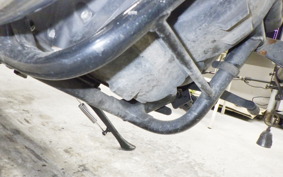 OTHER +ENFIELD ﾒﾃｵ350 2024