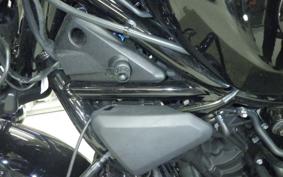 HARLEY RH975S 2024