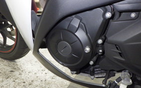 YAMAHA YZF-R25 2009 RG10J