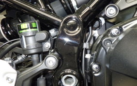 KAWASAKI Z900RS 2021 ZR900C