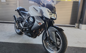 KAWASAKI Z1000 2009 ZRT00B