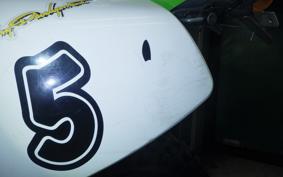 KAWASAKI KLX250 LX250E