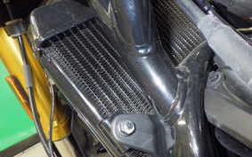 TRIUMPH SCRAMBLER400X 2024