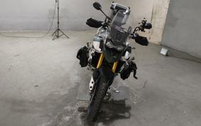TRIUMPH TRIUMPH  TIGER 900 RALLY  PRO TRE67D