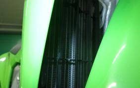 KAWASAKI KX250X KX252D
