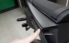 HONDA CBR600RR 2024 PC40