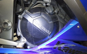 KAWASAKI NINJA 250 ABS 2020 EX250L