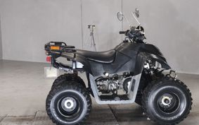 OTHER  BUGGY 50CC ..