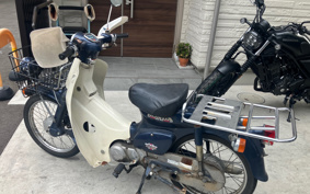 HONDA SUPER CUB50 C50
