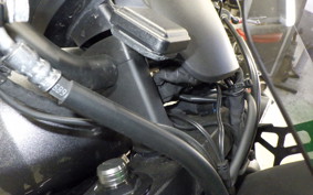 HONDA REBEL 1100 2024 SC83