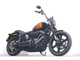 Фото Harley FXBBS 2022 с японского аукциона